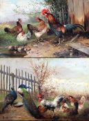 Magda Langenstraß-Uhlig (1888-)pair of oils on wooden panels,Studies of chickens and peacocks,