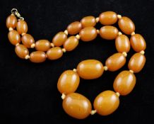 A single strand graduated amber bead necklace, gross weight 31 grams, 16in.