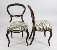 A set of six Victorian walnut balloon back dining chairs, with zebra pattern upholstered serpentine
