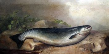 Attributed to Henry Leonidas Rolfe (1824-1881)oil on canvas,Study of a large salmon,17 x 35.5in.