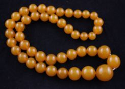 A single strand graduated amber bead necklace, gross 51 grams, 21in.