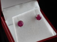 A pair of 14ct white gold and solitaire ruby ear studs, with circular cut stones.