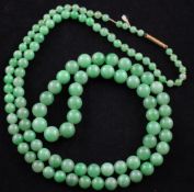 A Chinese single strand graduated jadeite bead necklace, with 18ct gold barrel clasp, 33.5in.