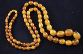 A single strand graduated oval amber bead necklace, gross 64 grams, 37in.