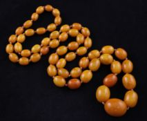 A single strand graduated oval amber bead necklace, gross 115 grams, 43in.