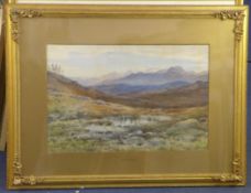 Edward Arden (Tucker) (c.1847-1910)watercolour,Mountain landscape,signed,14 x 21in.