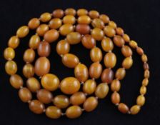 A single strand graduated oval amber bead necklace, gross 115 grams, 47in.
