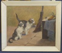 Gabriella Rainer-Istvanffy (1877-1964)oil on canvas,Cat watching a mouse on a table top,signed,20