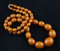 A single strand graduated oval amber bead necklace, with gilt metal barrel clasp, gross 97 grams,