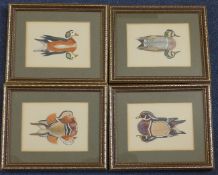 Sir Peter Scott (1909-1989)four watercolours with gouache,Studies of ducks,2.75 x 3.75in.