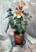 Lena Alexander RSA RA (1899-1983)pastel,Still life of a begonia in a flower pot,signed and dated