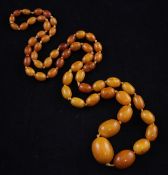 A single strand graduated amber bead necklace, gross weight 49 grams, 32.5in.