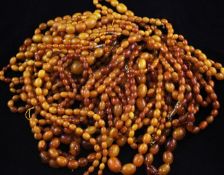 A collection of twenty seven assorted graduated amber bead necklaces, some with gilt metal or