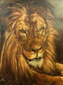 After Herbert Dickseeoil on canvas board,Study of a lion,monogrammed,32.5 x 24in.