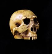 A late 19th century carved ivory skull, probably a cane handle, 1.75in.
