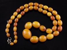 A single strand graduated amber bead necklace, with 9ct gold clasp, gross 47 grams, 24in.
