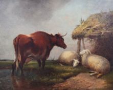 Manner of Paulus Potteroil on canvas,Cow and sheep beside a river,16 x 19.5in.