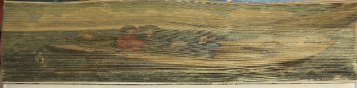 Fore-edge painting. Buckland, Frank - Log Book of a Fisherman and Zoologist, 1876, with fore-edge