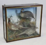 A taxidermic display of a pair of pheasants and a guinea fowl, in naturalistic setting, overall 2ft