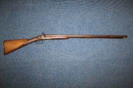 A Victorian percussion double barrel shotgun, with walnut stock and damascus barrel, 49in.