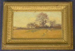 Ben Fisher (fl.c.1900-1930)oil on wooden panel,Sheep in pasture,inscribed verso,8 x 14in.