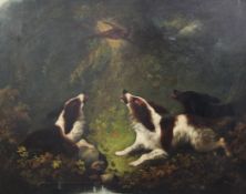 Edward Armfield (1817-1896)oil on canvas,Spaniels chasing a pheasant,signed,27.5 x 35.5in.From a