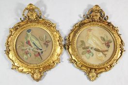 A pair of Victorian circular gilt framed needlework panels, depicting parrots on flowering