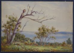 W. Thomaspair of watercolours,A pioneer on the fringe of the harbour, Sydney and Catts Lake,