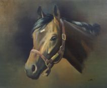 § Frank Wootton (1911-1998)oil on canvas,Portrait of the racehorse, Mill Reef,signed,20 x 24in.