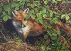 § Frank Wootton (1911-1998)oil on canvas,`The Young Fox`,signed,16 x 22in.