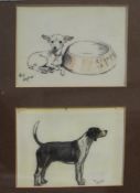 Cecil Aldin (1870-1933)coloured pencil on ivorine,Study of a chihuahua and of a hound,signed,3.75 x