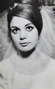 Two David Bailey portraits of Frances Kray wearing her wedding veil, (`DB 72 - B26 - 12` and