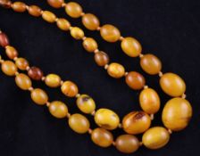 A single strand graduated yellow amber bead necklace, with gilt metal clasp and one other smaller