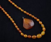 A single strand graduated yellow amber bead necklace and a yellow amber pendant, gross weight,