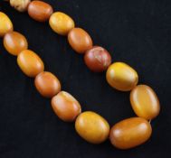 A single strand graduated amber bead necklace, gross 115 grams, 30in.