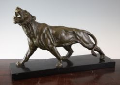 Delabriere. A bronze model of a roaring lioness, signed, on black marble plinth, 19.75in.