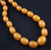 A single strand graduated yellow amber bead necklace, gross 108 grams, 36in.