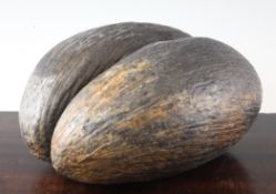 A large coco de mer, 13in.
