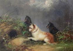 J. Langloisoil on canvas,Terriers beside a rabbit hole,signed,10 x 14in.