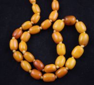 A single strand graduated amber bead necklace, with gilt metal clasp, gross weight 44 grams, 23in.