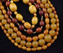 Three single strand yellow amber bead necklaces, a similar bracelet and a red amber bracelet (