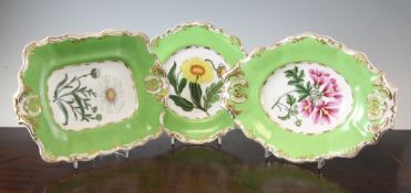 A Copeland and Garrett (late Spode) botanical specimen dessert service, c.1835, each piece