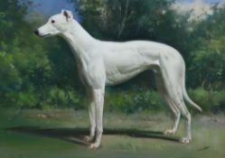 § Frank Wootton (1911-1998)oil on canvas,Portrait of the greyhound `White Island`,signed and