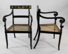 A pair of Regency style ebonised elbow chairs, with caned seats and scrolling arms, the shaped bar