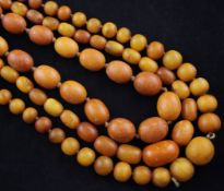 Three single strand graduated yellow amber bead necklaces, two with gilt metals clasps, gross 148