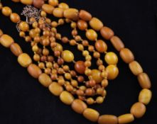 Three yellow amber bead necklaces, two single strand and one triple strand with elongated gold