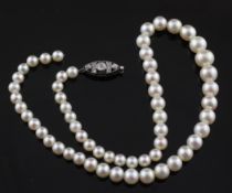 An Edwardian single strand graduated child`s natural pearl necklace with diamond set clasp, with