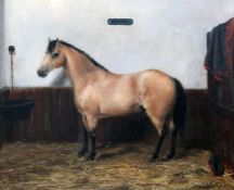 M. Allnotoil on canvas,Portrait of a pony `Detta` in a stable,signed and dated (18)92,16.5 x 20.