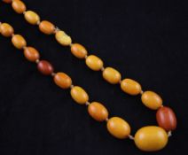 A single strand graduated yellow amber bead necklace, gross weight 70 grams, (a.f.), 39in.