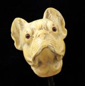 A 19th century carved ivory walking cane handle, modelled as a dog`s head with glass eyes, the